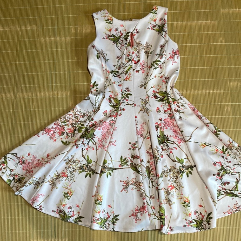 Ladies Julian Taylor dress